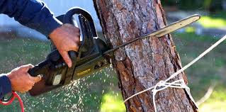 Best Aeration Services  in Cottonwood, CA