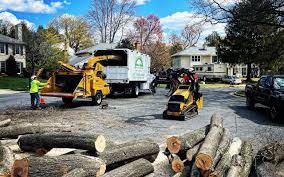 Best Artificial Turf Installation  in Cottonwood, CA