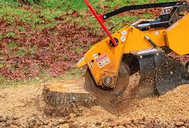 Lawn Renovation and Restoration in Cottonwood, CA